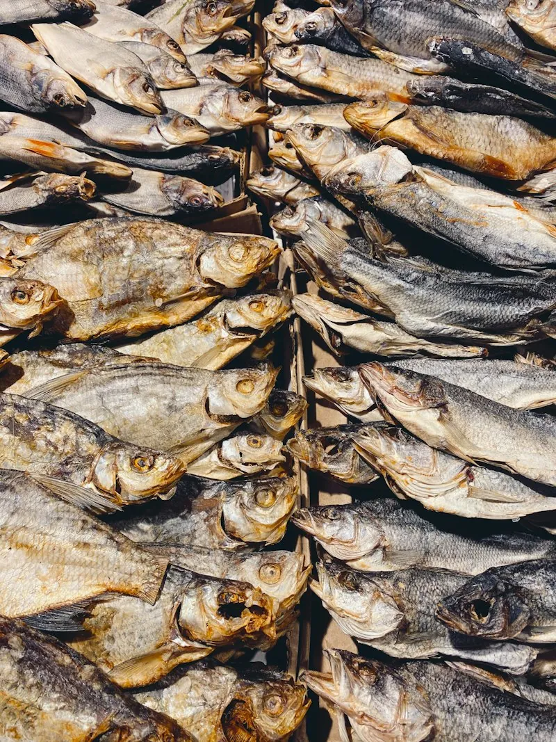 Abo Fish