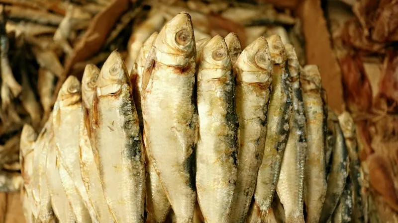 Asa Fish