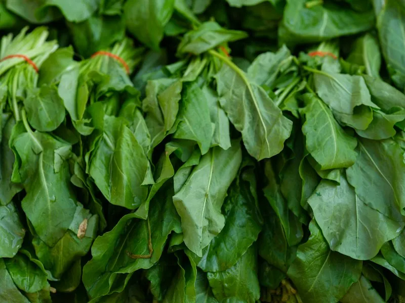 Ugu Leaf