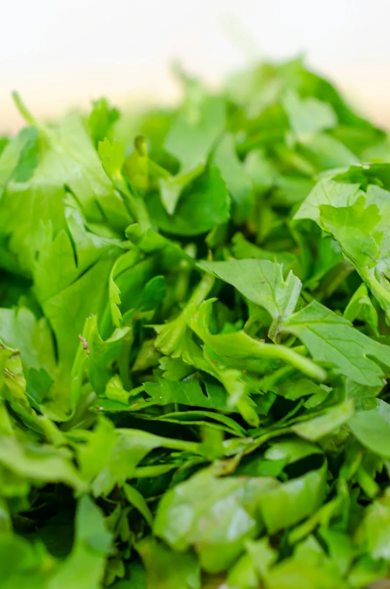 Uha (Oha) Leaf