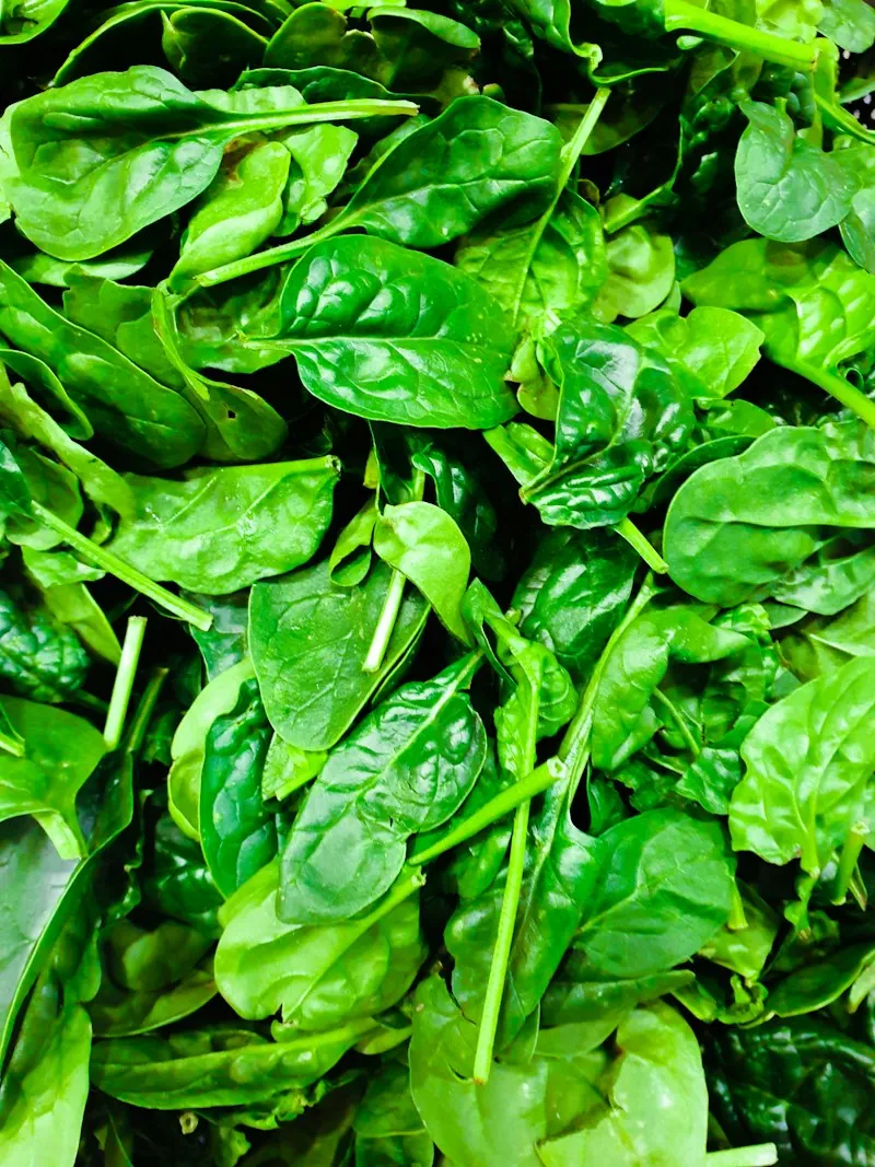 Water Leaf