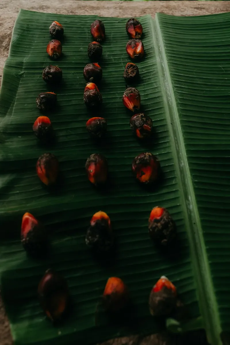 Red Palm Oil