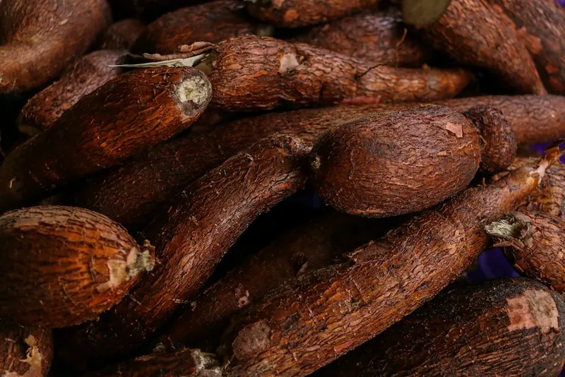Garri