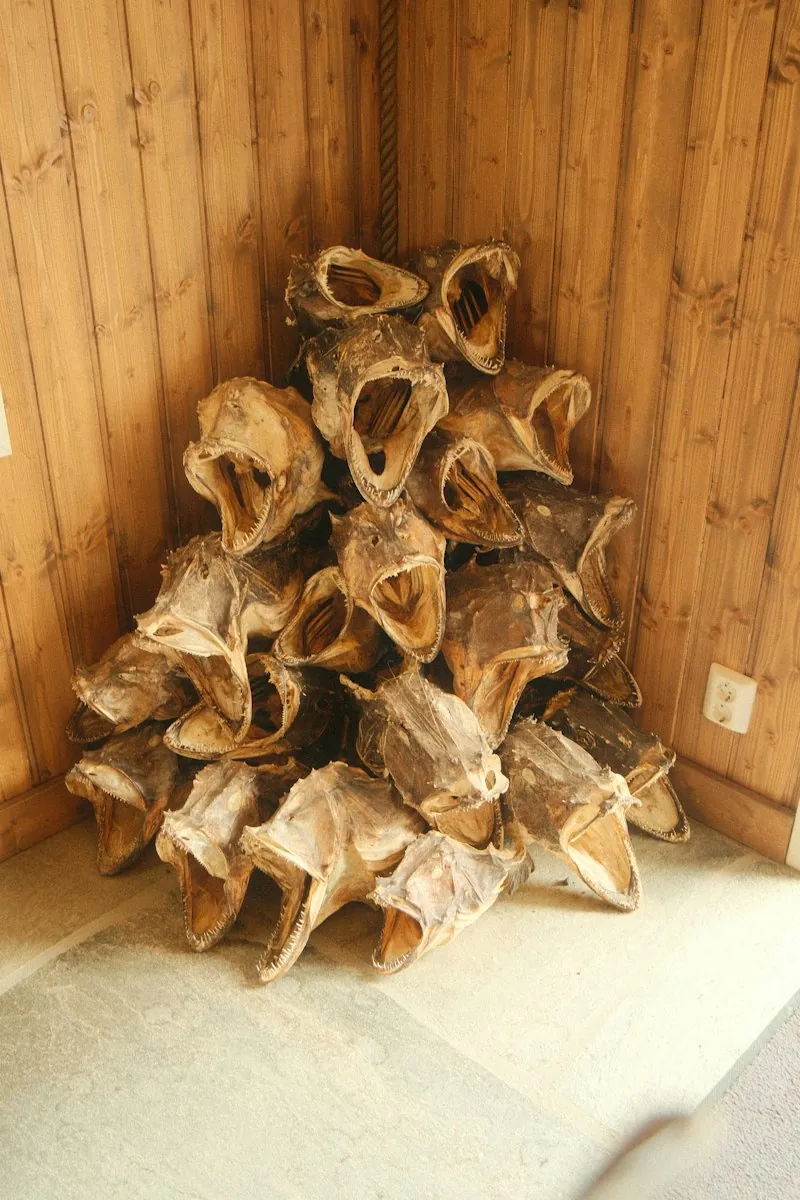 Ogbazuru
