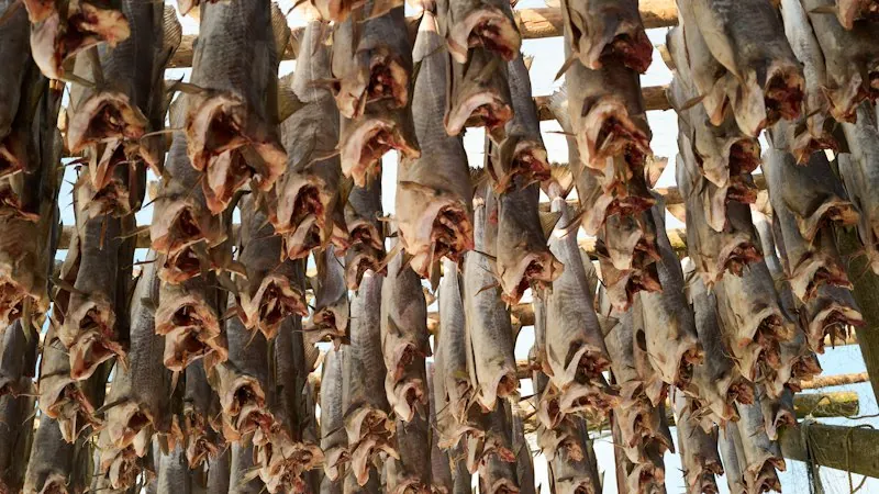 Stock Fish