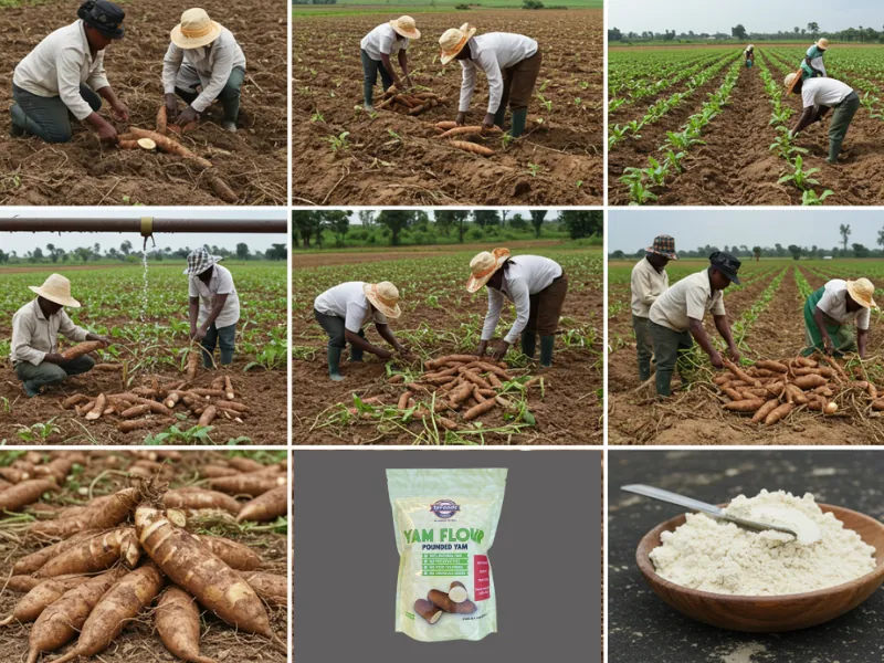Sustainable Farming Practices of Afri Foods Basket