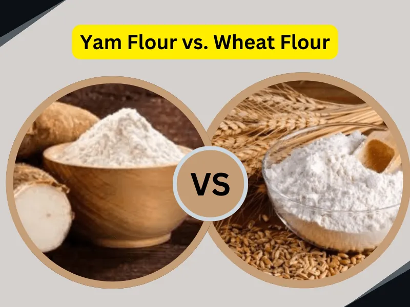 Yam Flour vs. Wheat Flour: Which Is Better for Your Health?