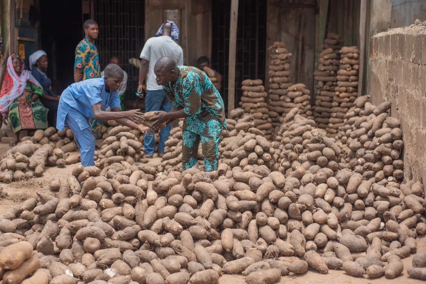 THE NUTRITIONAL POWER OF YAM FLOUR: A CLOSER LOOK AT DIETARY FIBER, VITAMINS, AND MINERALS